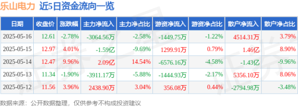 互联网龙头股排名 乐山电力（600644）5月16日主力资金净卖出3064.56万元