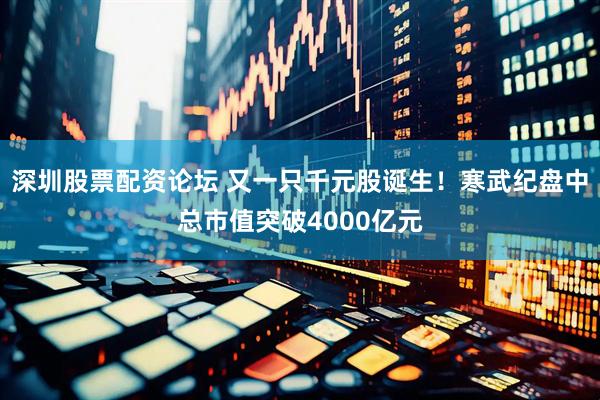 深圳股票配资论坛 又一只千元股诞生！寒武纪盘中总市值突破4000亿元