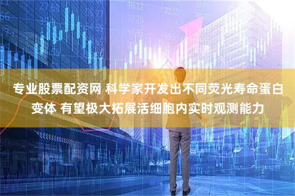 专业股票配资网 科学家开发出不同荧光寿命蛋白变体 有望极大拓展活细胞内实时观测能力
