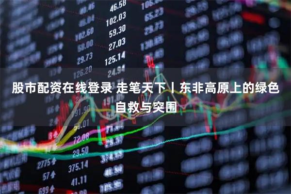 股市配资在线登录 走笔天下丨东非高原上的绿色自救与突围