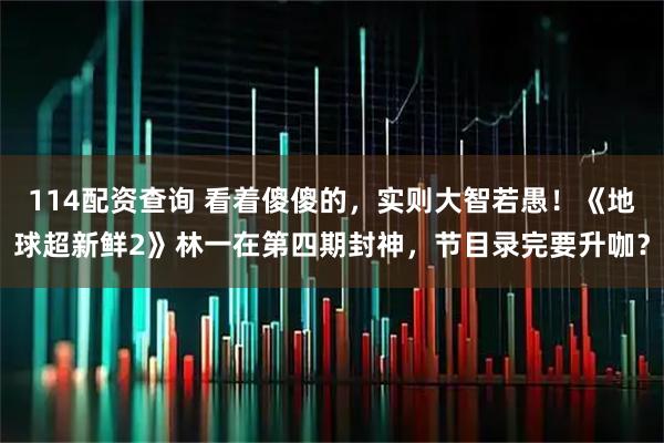 114配资查询 看着傻傻的，实则大智若愚！《地球超新鲜2》林一在第四期封神，节目录完要升咖？